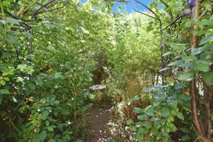 Photo 10- click for photo gallery